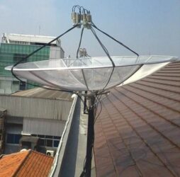 Agen Paraola Venus Jakarta